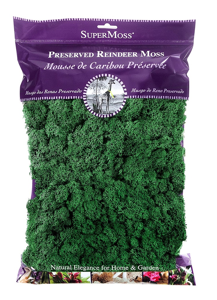 REINDEER MOSS-FS | 1-Bag per Pack / 10-Pack per Case