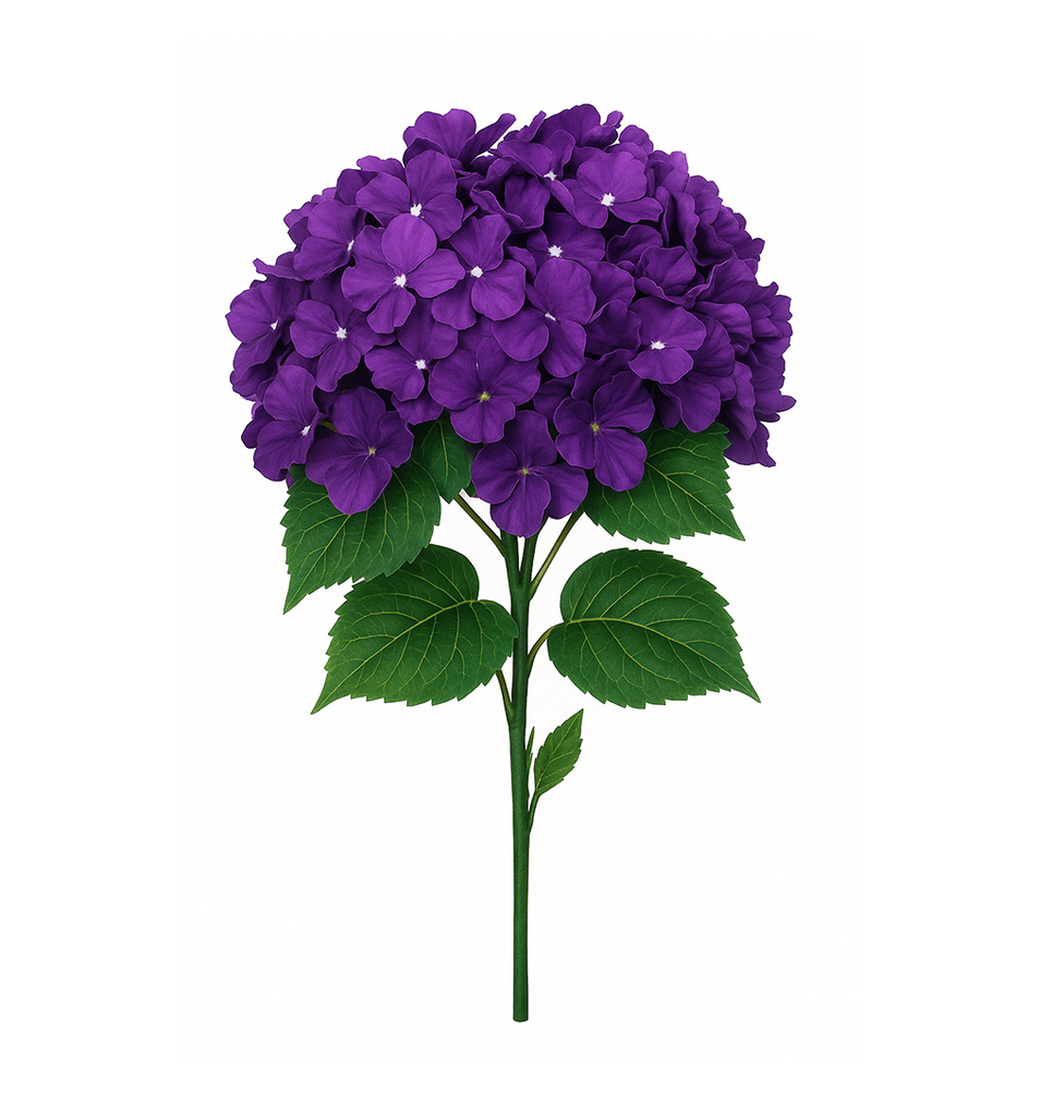 SILK HYDRANGEA PURPLE | 5-Heads per Bunch / 24-Bunch per Case