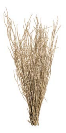 4FT GOLD BRANCHES - PK 50 STEMS [Bun]