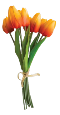 16" TULIP LT ORANGE - YELLOW | 9-Heads per Pack / 12-Pack per Case