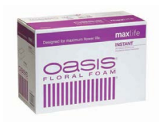 OASIS INSTANT FOAM | 48-Piece per Pack