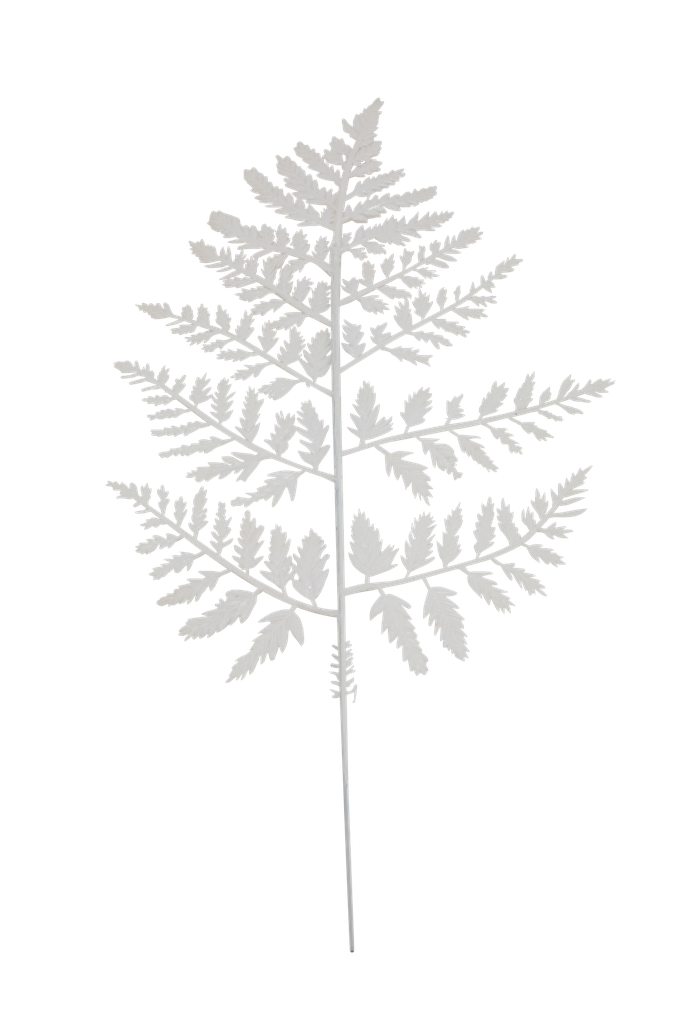 15" WHITE FERN | 144-Piece per Pack