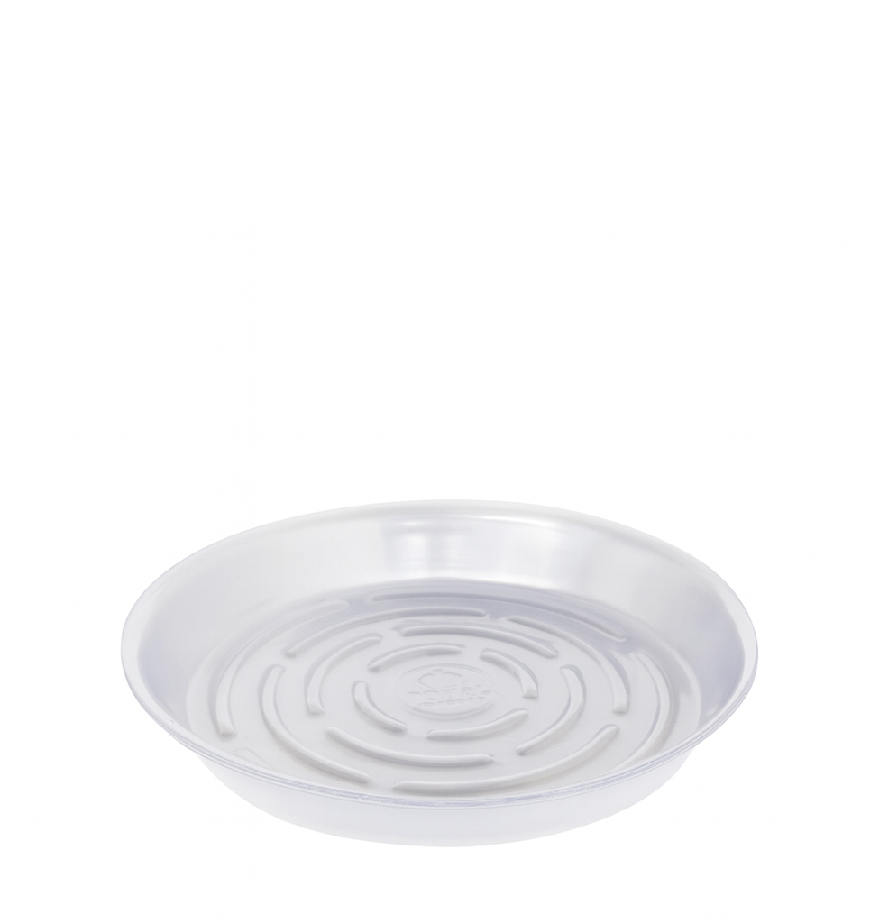 12" CLEAR SAUCER | 10-Piece per Pack