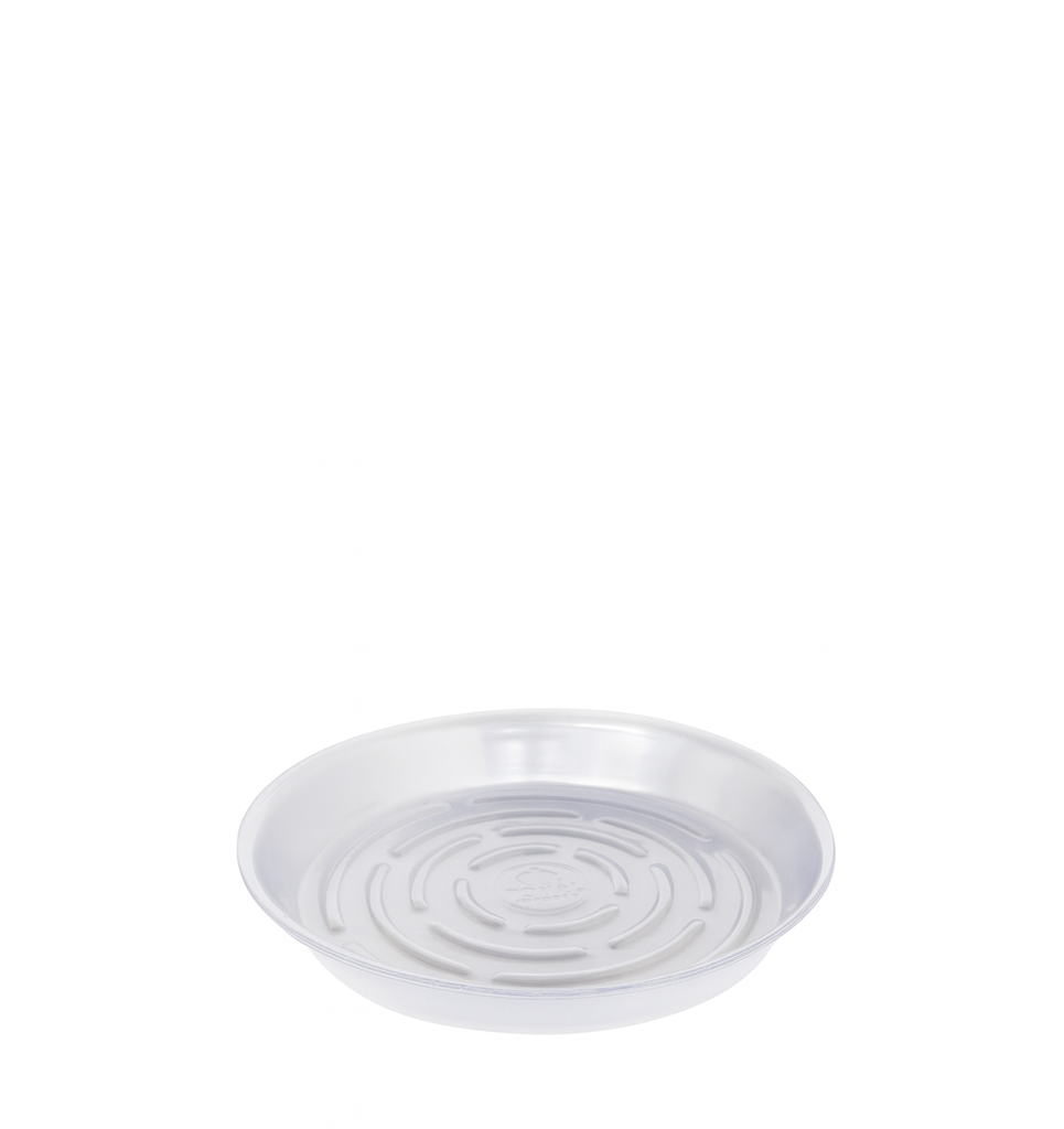 6" CLEAR SAUCER | 10-Piece per Pack / 2-Pack per Case