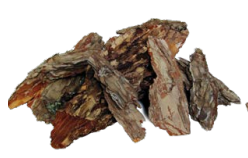 [BARK] CUT BARK | 1-Piece per Pack