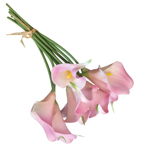 [BCALL-PK] 15" CALLA LILY PINK | 6-Heads per BUNCH