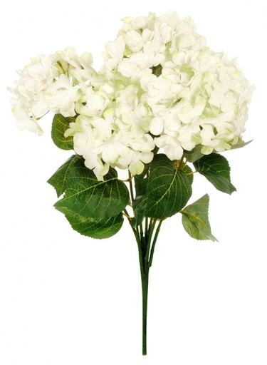 [BHYD-IV] SILK HYDRANGEA IVORY | 5-Heads per Bunch/ 24-Bunch per Case