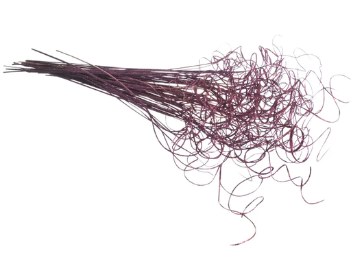 [RTING-PU] CURLY TING PURPLE | 75-Piece per BUNDLE / 25-BUNDLE per Case