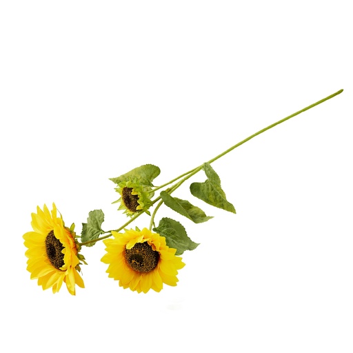 [BSUN3] SUNFLOWER SINGLE STEM WITH THREE HEADS | 1-Piece per Pack