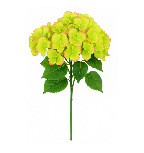 [BHYD-MINT] SILK HYDRANGEA MINT GREEN | 5-Heads per Bunch/ 24-Bunch per Case