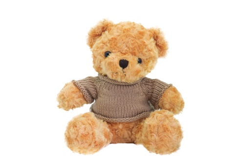 [STED12-BR] 12" BROWN BEAR WITH BROWN SWEATER | 1-Piece per Pack